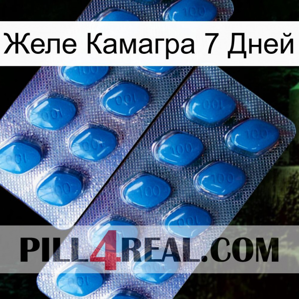 Желе Камагра 7 Дней viagra2.jpg